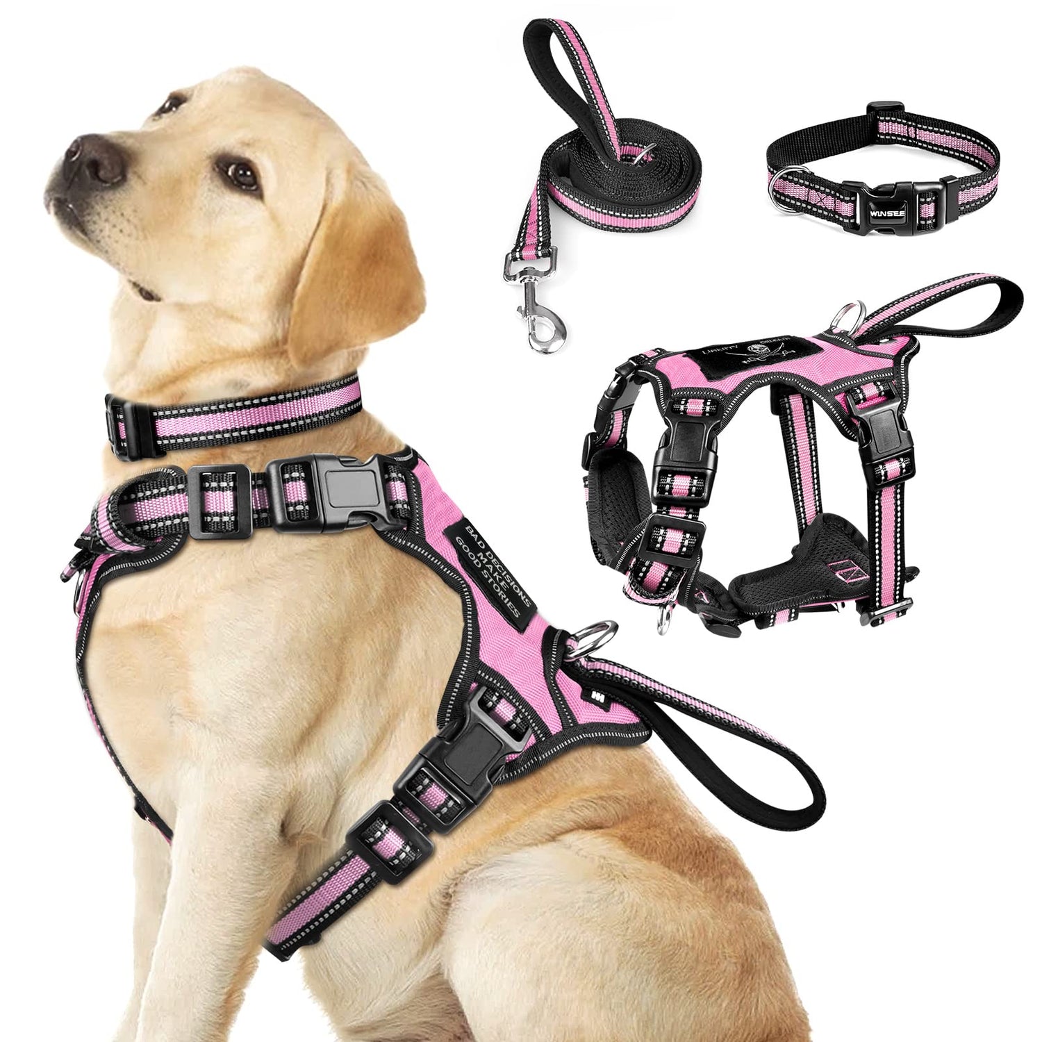 Collars And Leashes