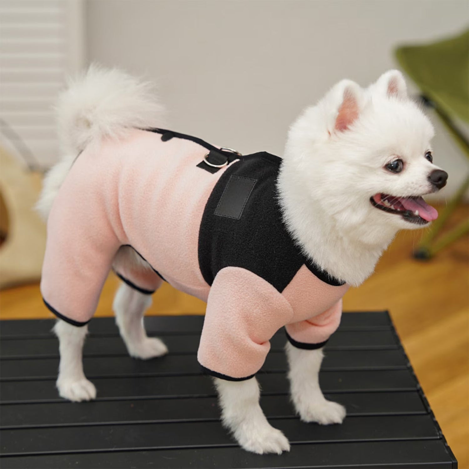 Costumes And Apparel
