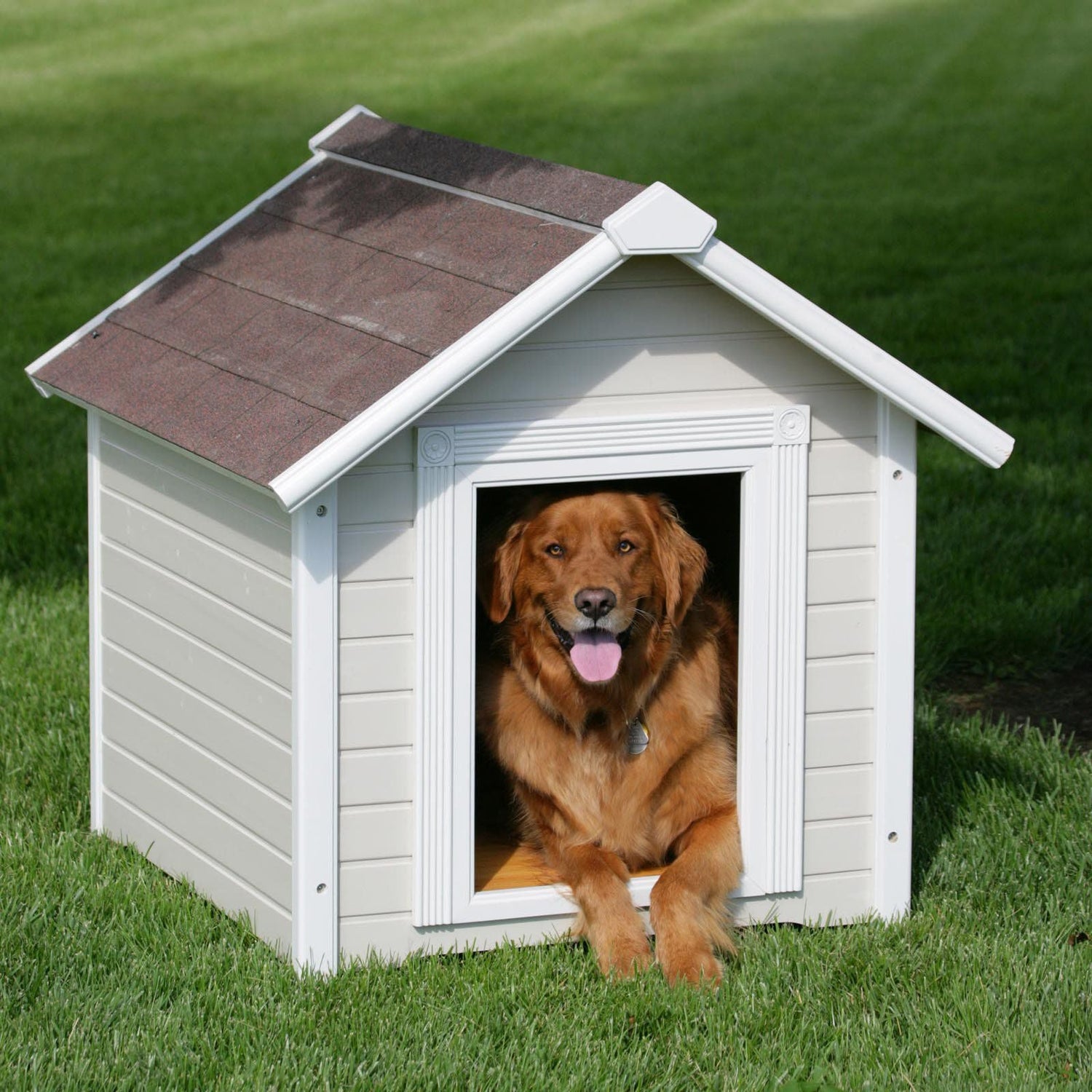 Pet Homes