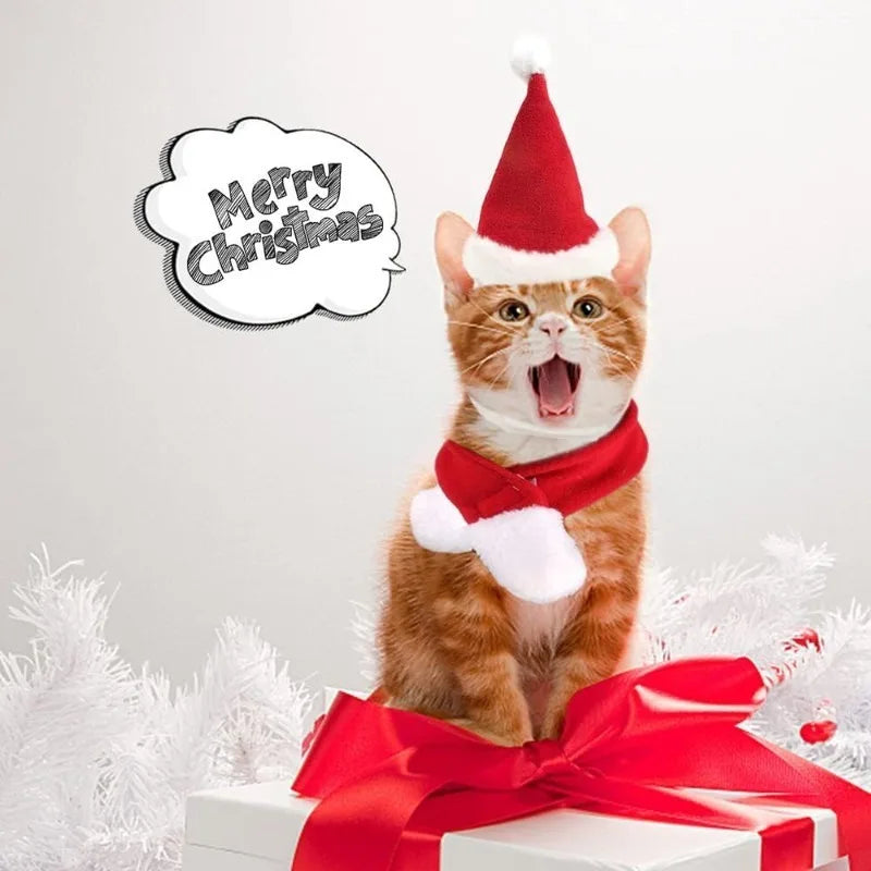 Christmas Pet Costume Set Adjustable Santa Hat Scarf for Small Dogs Cats Puppy Party Photo Props